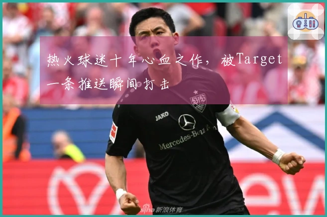 热火球迷十年心血之作，被Target一条推送瞬间打击