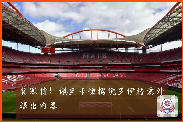 费塞特！佩里卡德揭晓罗伊格意外退出内幕