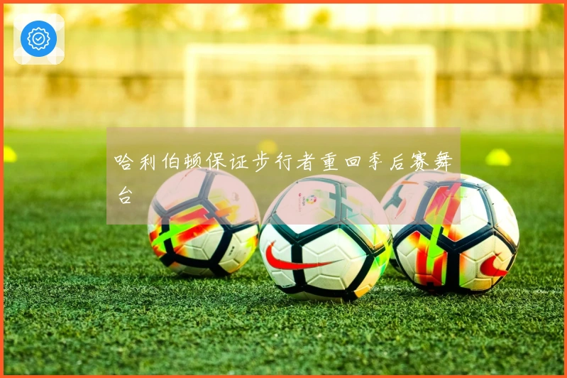 哈利伯顿保证步行者重回季后赛舞台