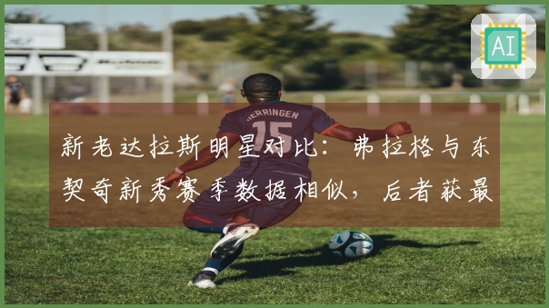 新老达拉斯明星对比：弗拉格与东契奇新秀赛季数据相似，后者获最佳新秀奖